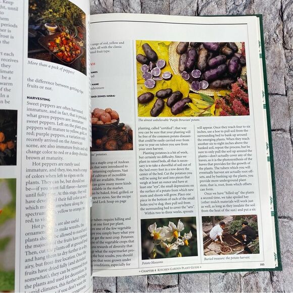 The New American Kitchen Garden from National Home Gardening Book Club - Picture 6 of 8